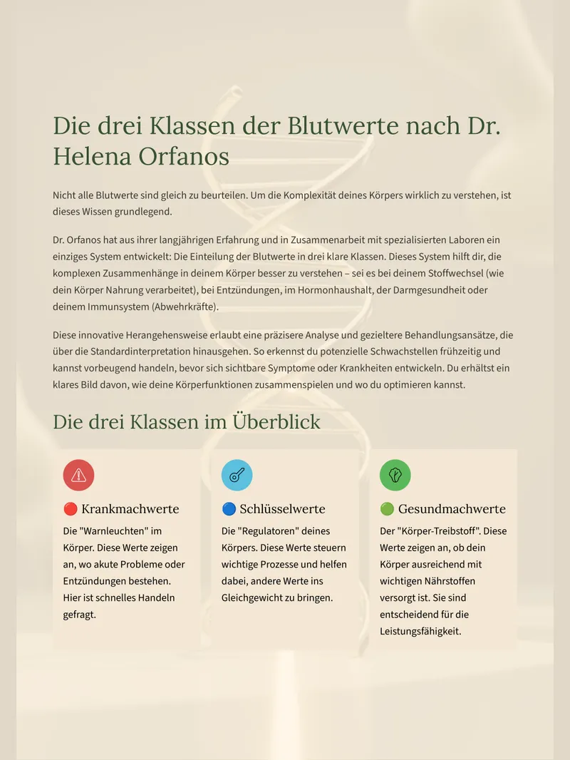 Blutwerte Guide — Beispielseite